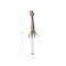 Hello Honey® 51" Gray & Black Handmade Wool Felt Squid Wall Hanging